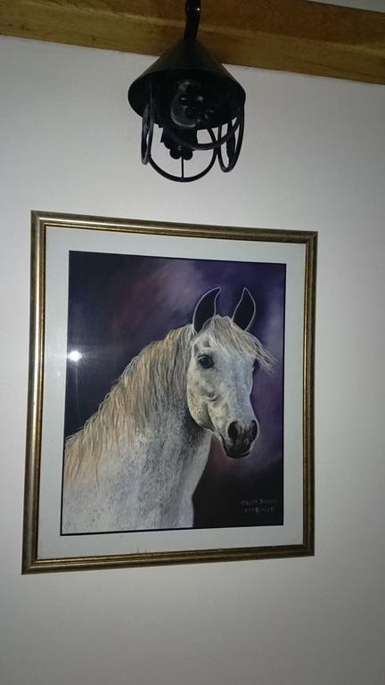 Guest House Zlatiborski Pastuv Екстериор снимка